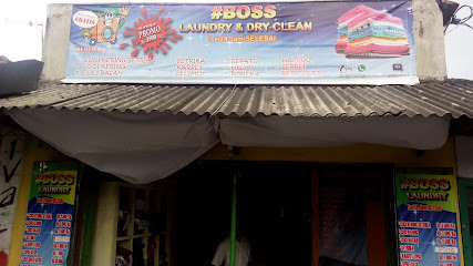Boss Laundry & Dry Clean