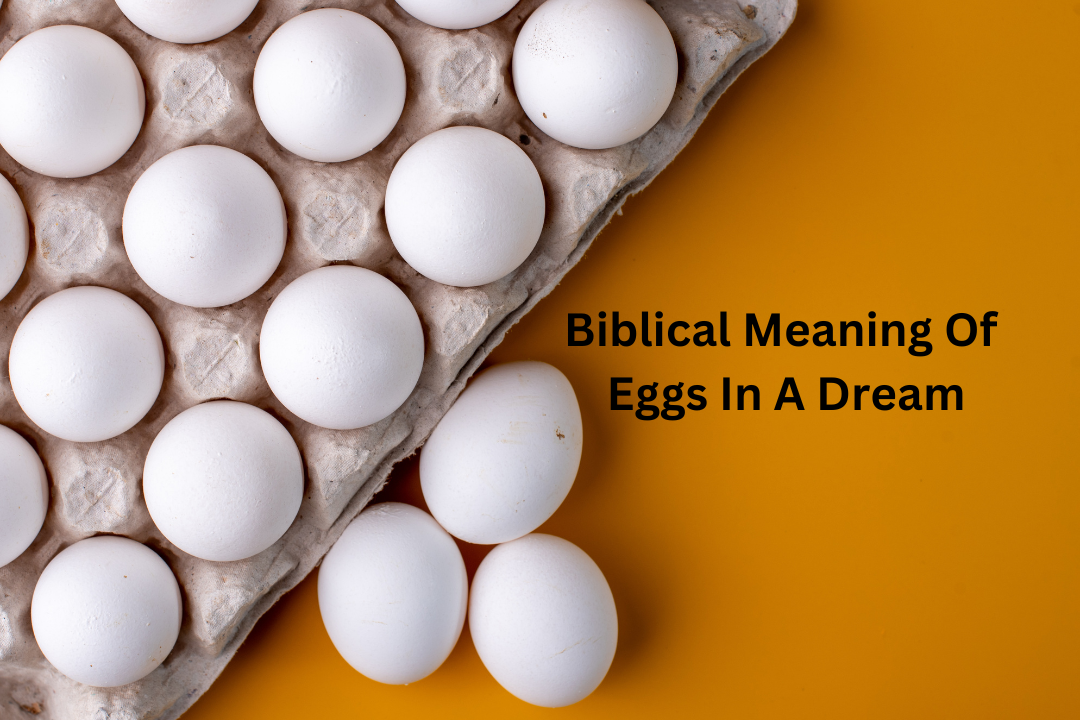 Biblical Meaning Of Eggs In A Dream