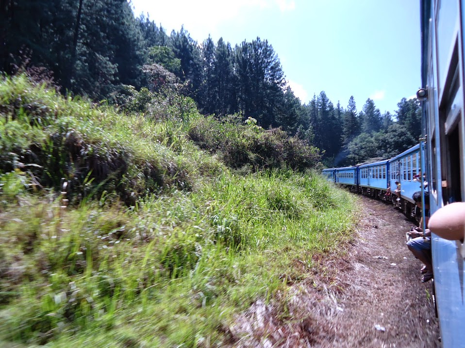 Шри-Ланка: 2 недели на троих, или бюджетный тур самостоятельных туристов