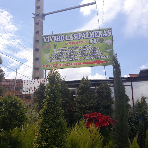 Opiniones de Vivero Las Palmeras en Cuenca - Centro de jardinería