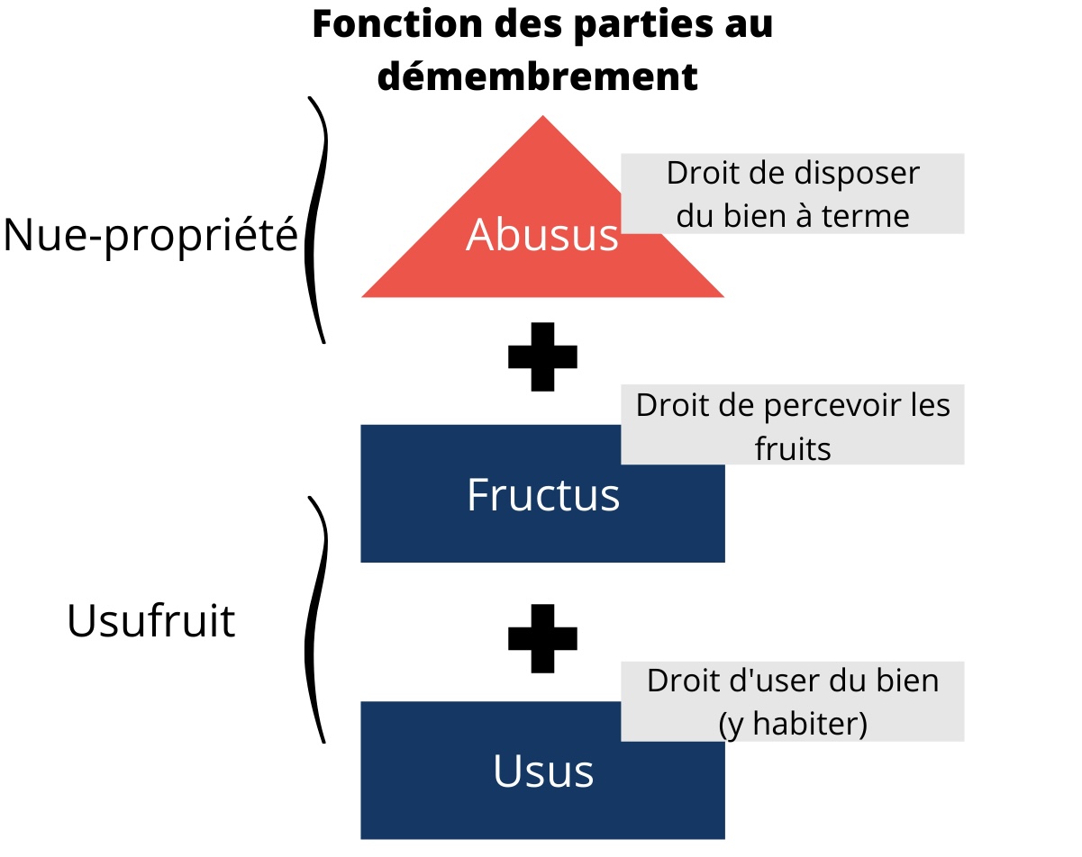 Les droits de toutes les parties lors d'un démembrement de propriété 