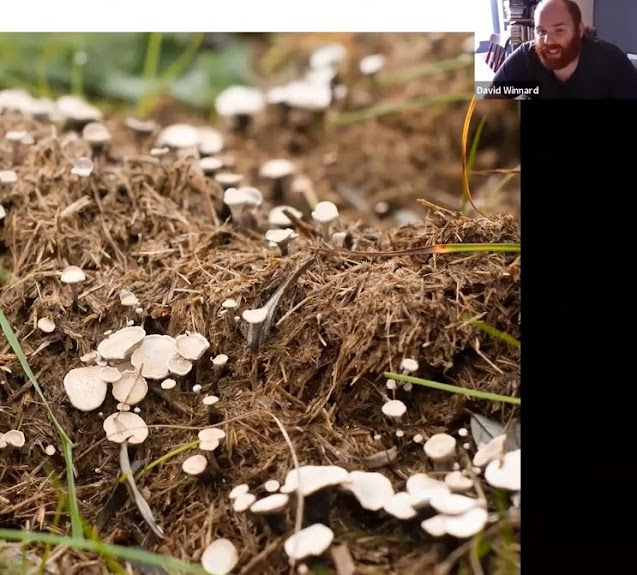 You can see the full fungi presentation at https://youtu.be/JjwdGpgFX0M 
