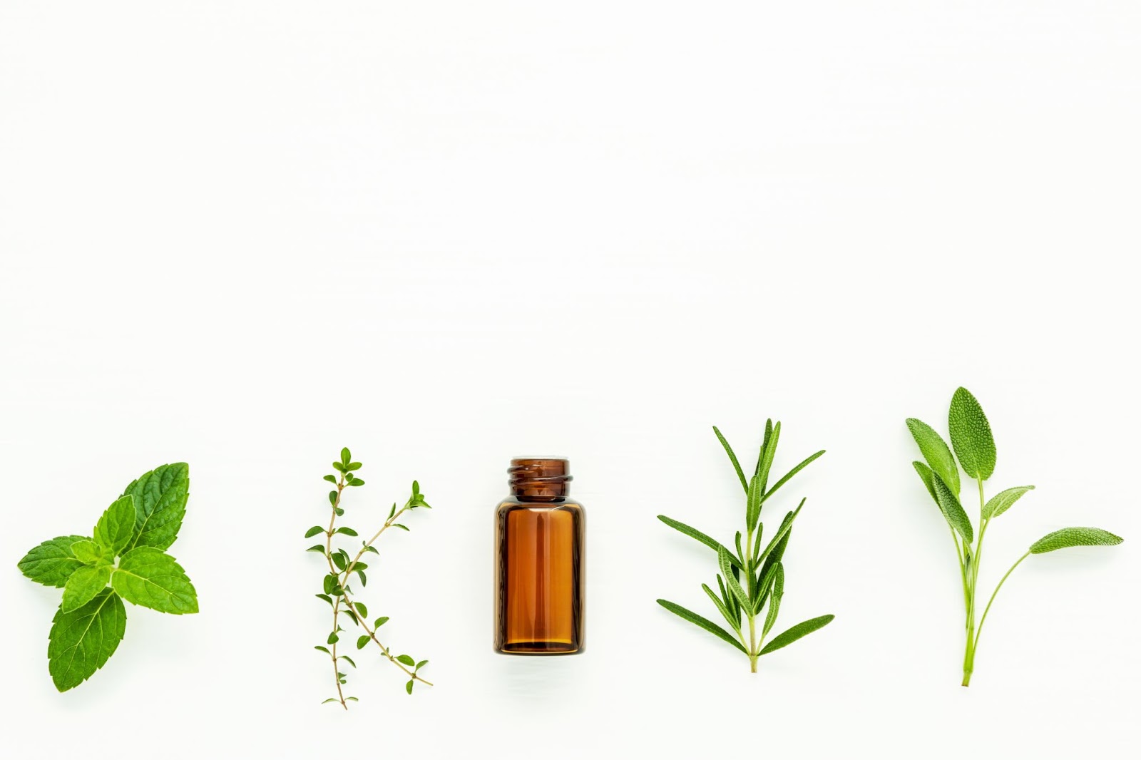 photo of four different herbs with a tiny brown glass bottle in the center