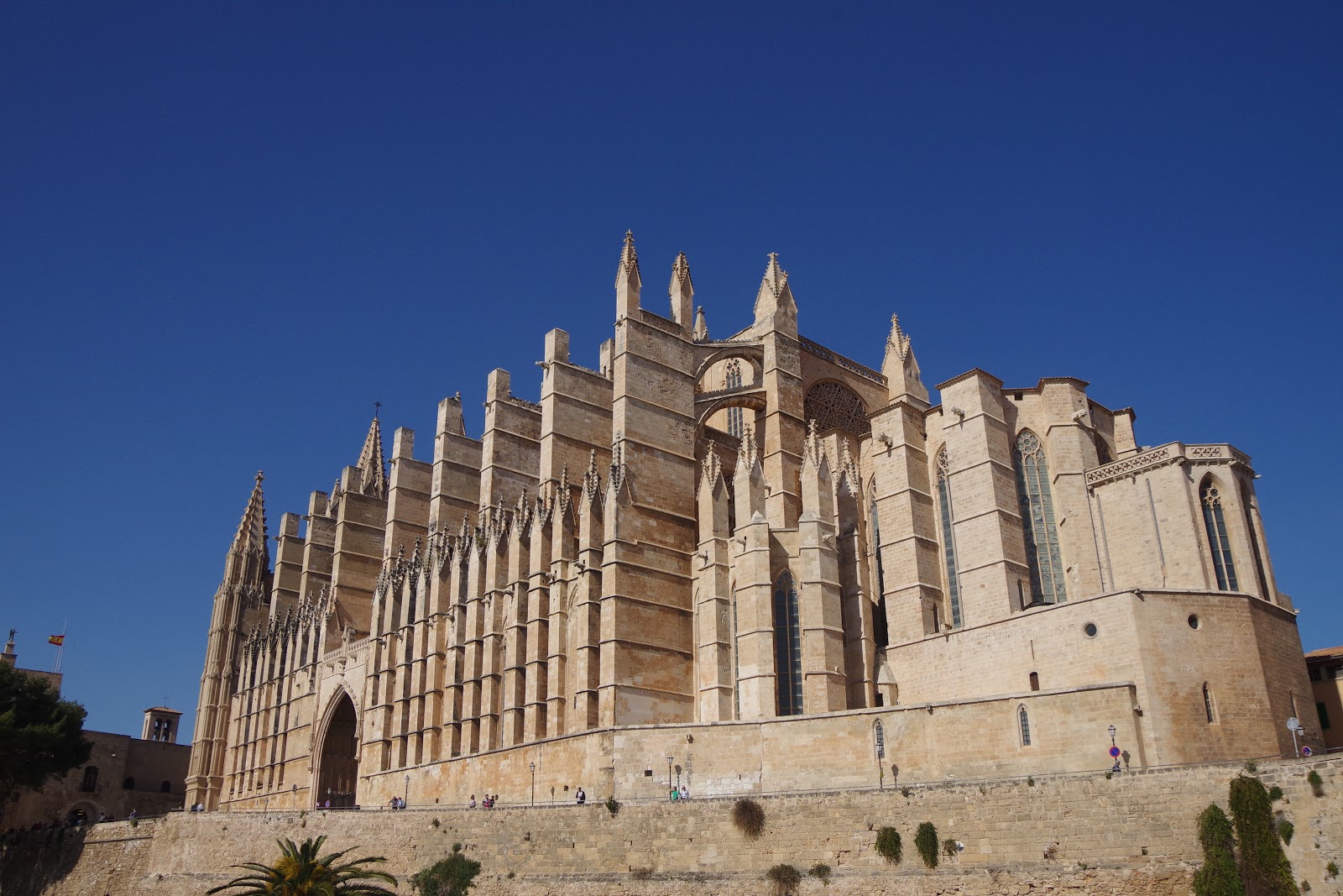 Blick auf die Kathedrale in Palma de Mallorca