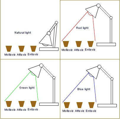 Science proposal diagram.jpg
