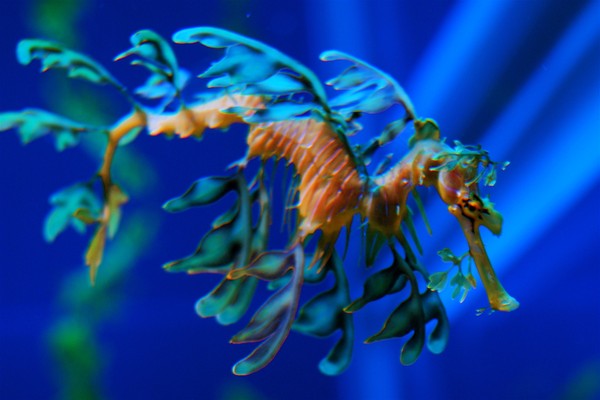 img https://lh6.googleusercontent.com/nm2qUZGnukeIXdKZjM9X6vM3pXUJHujk7BSxsWMv5xrgf0qEAEV1GQ8o0p3JuSiILMSCmtIGkwWEjYyEd9lvH3_9yZGvj7IBcUiG4dZHu86qe0P-bX0acHtLv8BpyLzaDWyHyEY /img