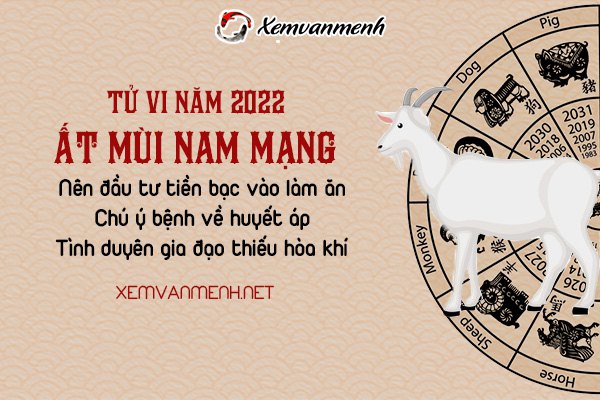 tu-vi-tuoi-at-mui-nam2022-nam-mang-1955