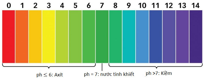 nồng độ ph là gì? mức độ tối ưu đến cho sức khỏe con người