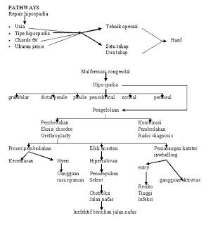 F:\ASKEP ANAK\Pathway Hipospadia.jpg