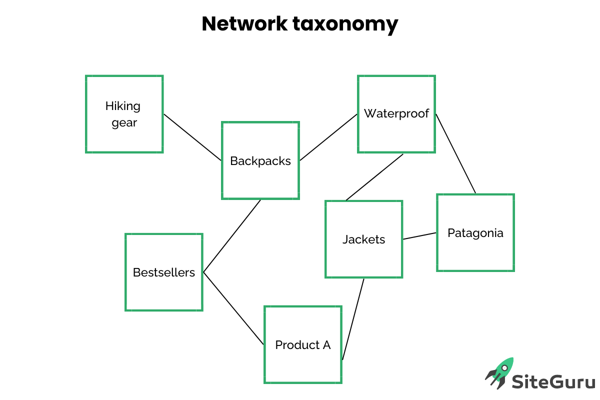 website network taxonomy for seo example