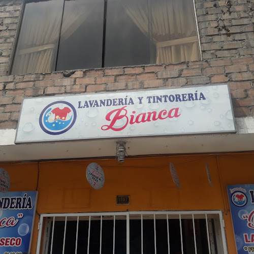 Lavandería Y Tintorería Bianca