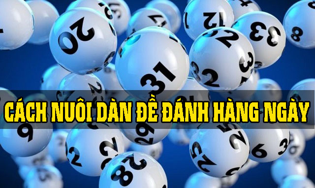 Nuôi dàn đề hàng ngày là gì?