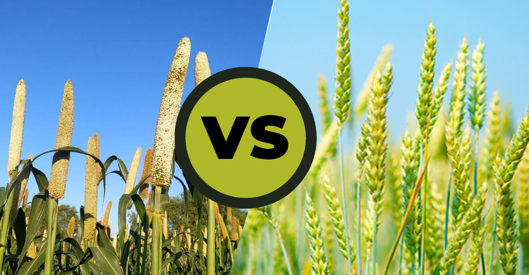 Difference Between Kharif Crops And Rabi Crops?