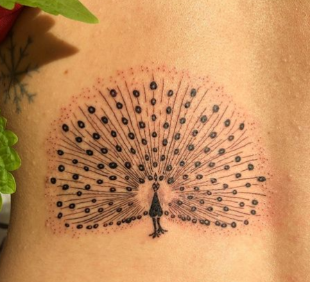 Beautiful Peacock Feathers Back Tattoo
