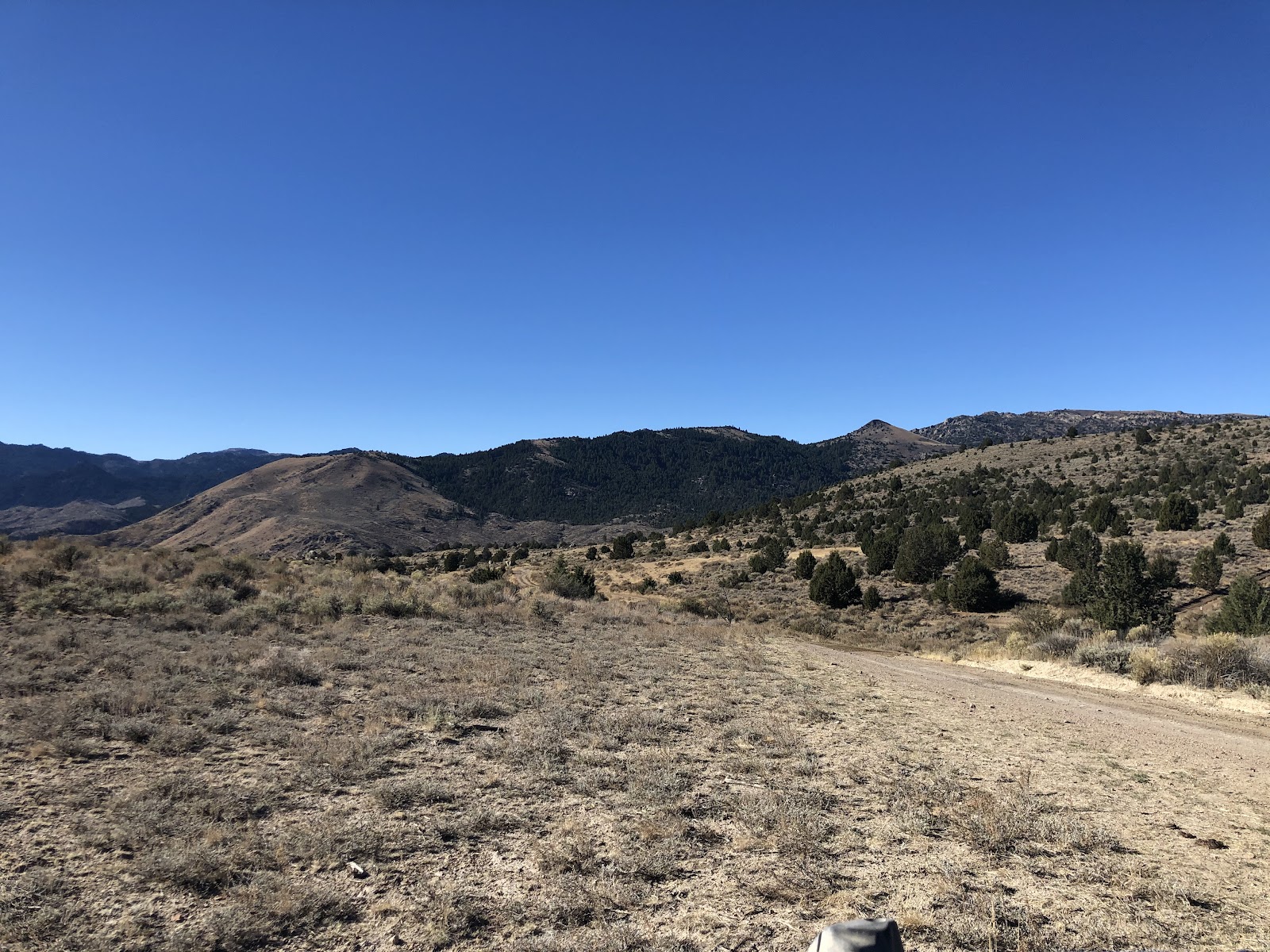 In the forefront is an open space of bunchgrasses gone to seed. To the right is a dirt road passing foothills dotted by juniper trees and leading off into mountains against a clear blue sky. 