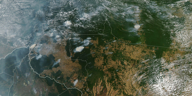 Hãy cứu lấy “lá phổi của thế giới,” các giám mục Mỹ Latinh thúc giục khi những đám cháy rừng Amazon hoành hành