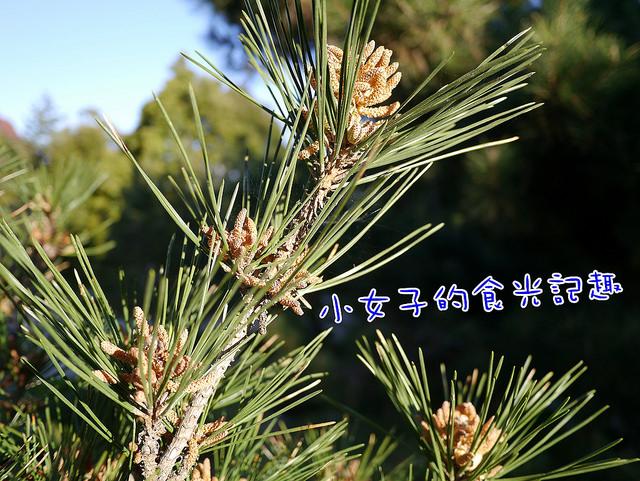 P1040167