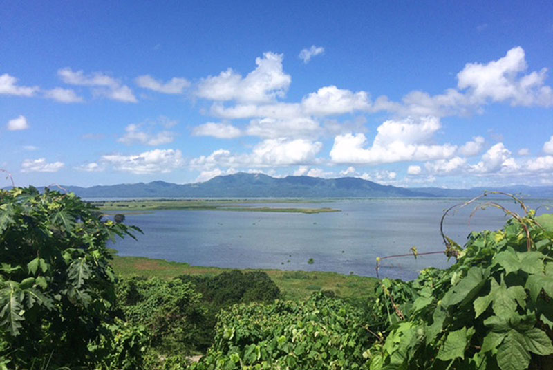 A scenic view of greenery, a body of ocean and a mountain range.