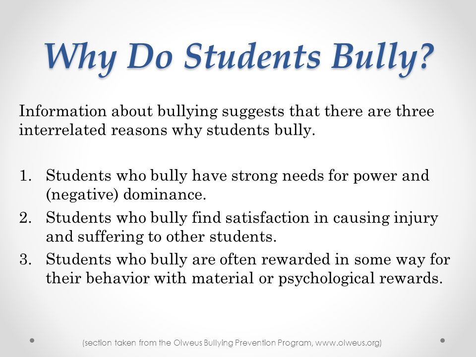 what is your research study all about bullying