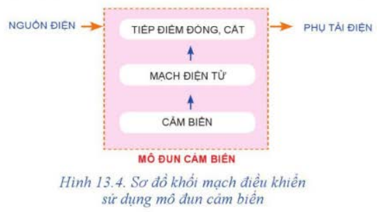 A diagram of a cat</p>
<p>Description automatically generated