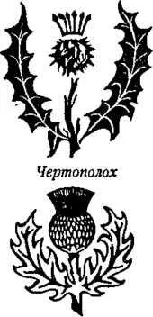 D:\0 wd yedek\acr yedek\1 film indirme\encyclopedia_symbols_roshal\encylopedia_files\000663.jpg