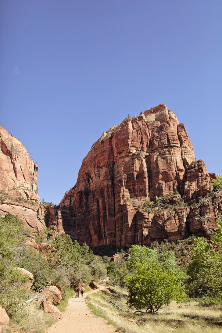 Zion West Rim Trail.