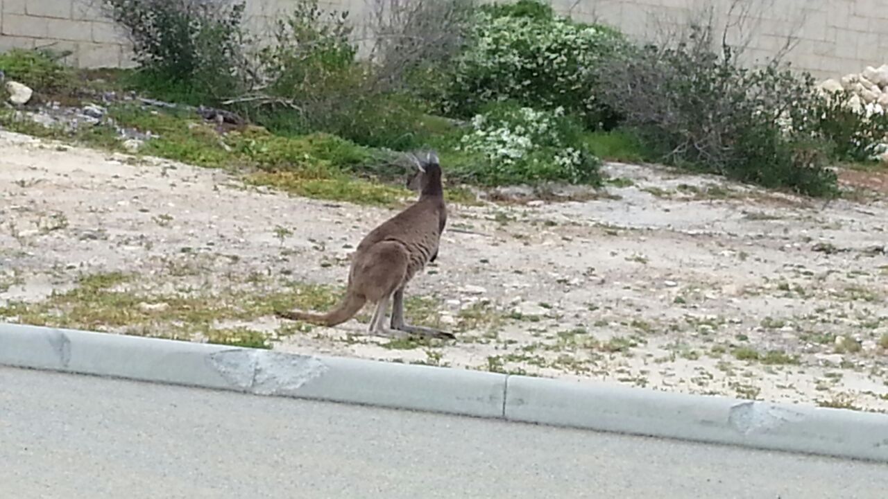 IMG-20160908-WA0022.jpg
