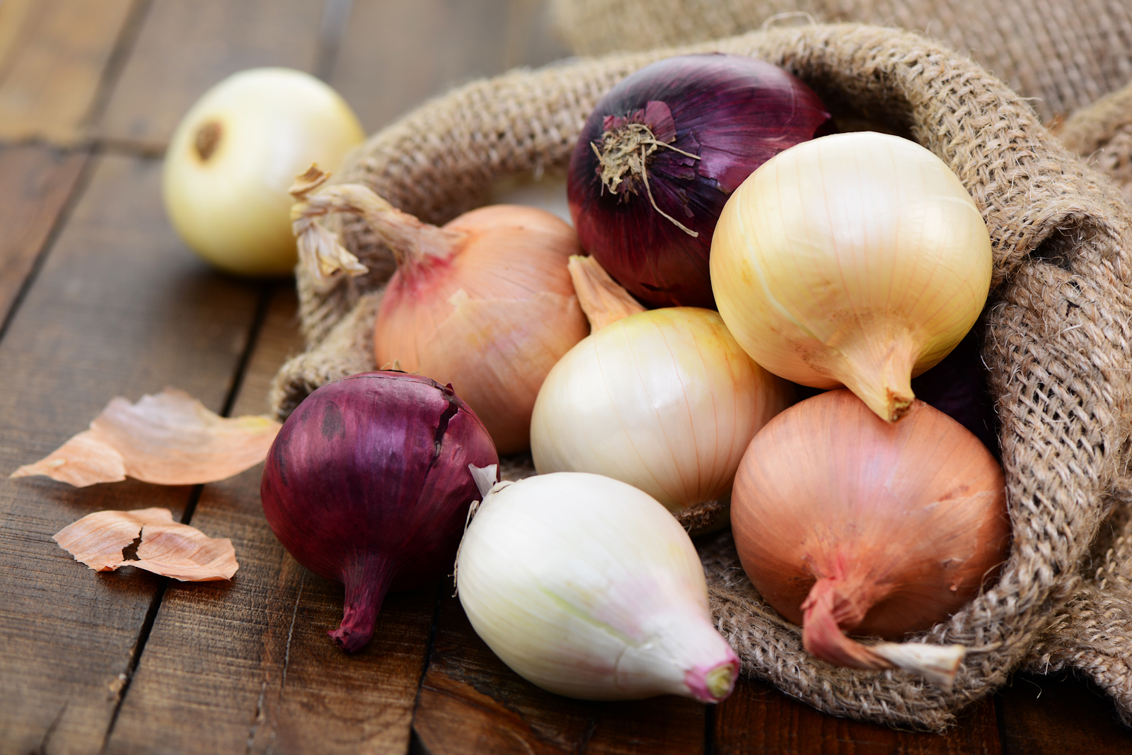 Can Dogs Eat Onions? Absolutely NOT, and Here’s Why 3