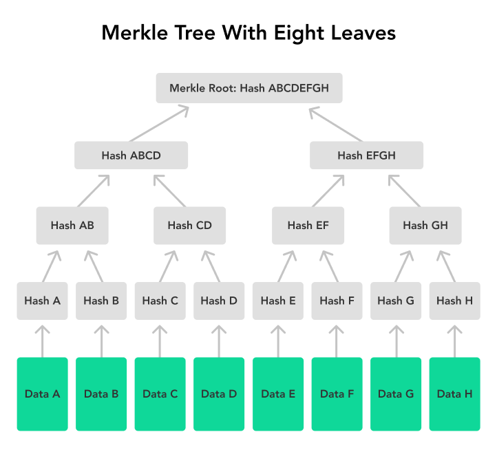 Blog - Merkle Trees Explained