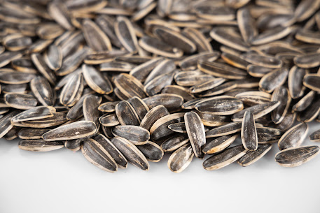 Sunflower seeds and their skin benefits