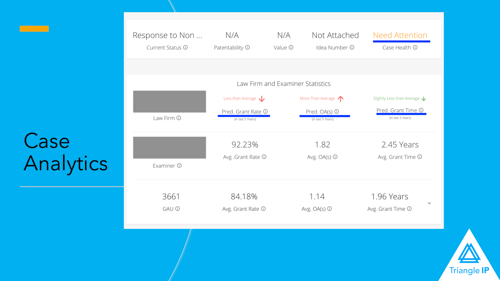 Case Analytics Triangle IP