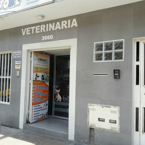Centro Veterinario IL Dottore