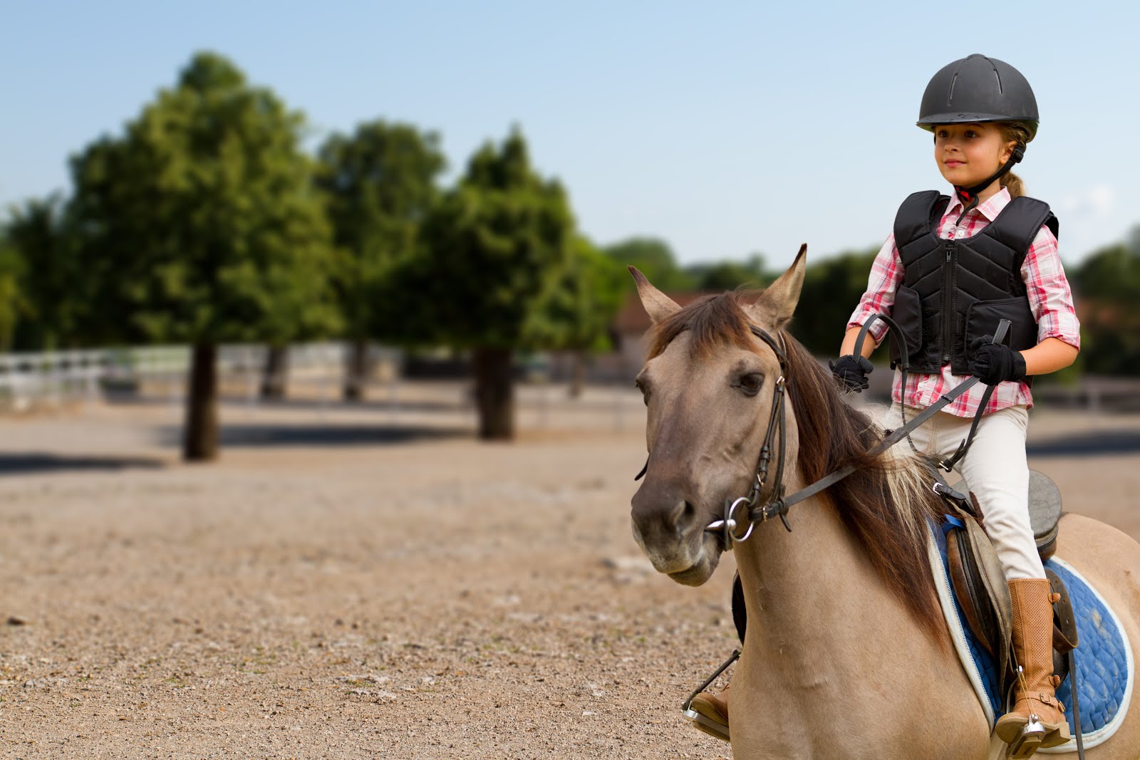 A Guide to Horseback Riding for Beginners | The ActivityHero Blog