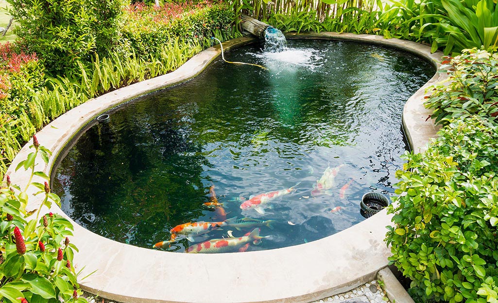 Kolam Ikan pada sebuah taman