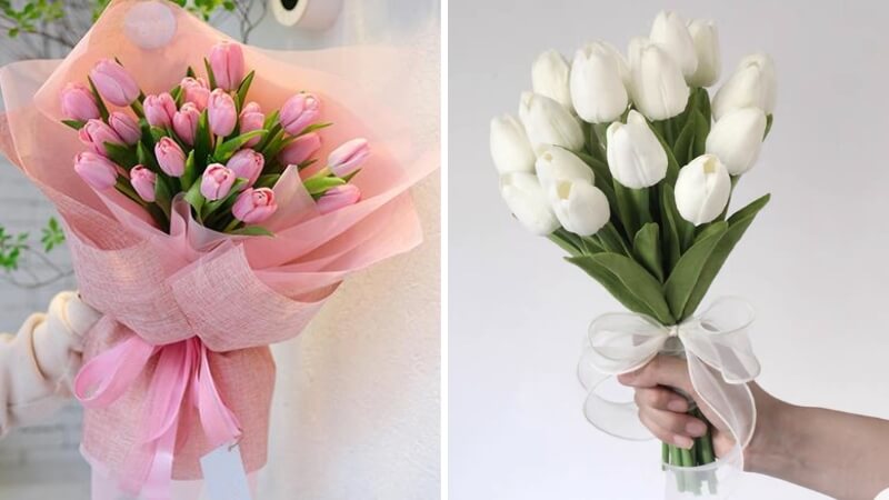 Valentine tặng hoa gì: Hoa tulip