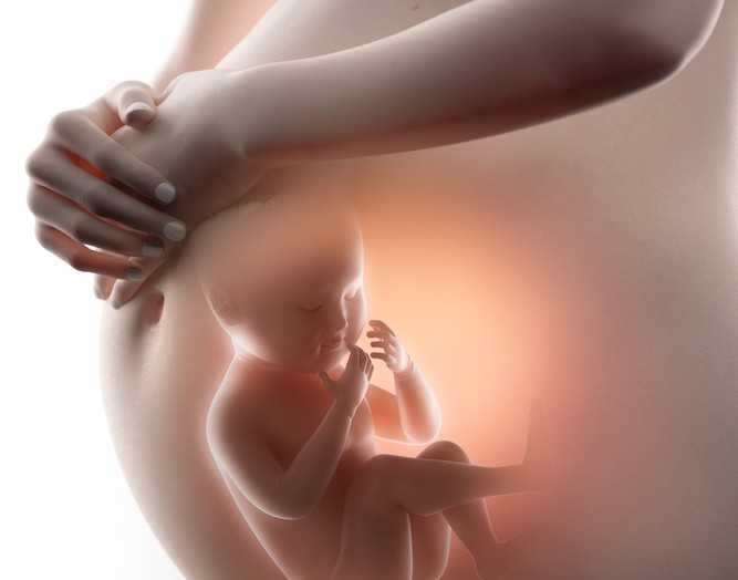 Những yếu tố tác động lên chiều dài và cân nặng của thai nhi