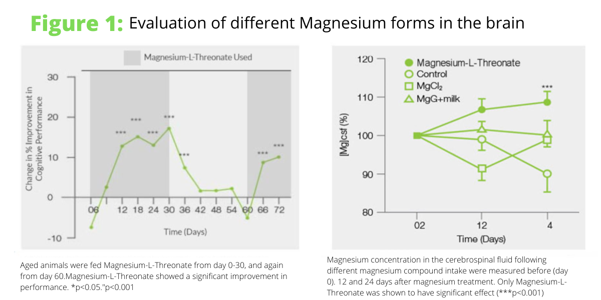 zhodnotenie foriem magnézia v mozgu