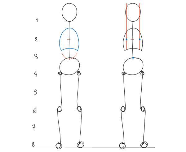 İnsan Anatomisi Model çizim Teknikleri ve Ölçü nasıl alınır