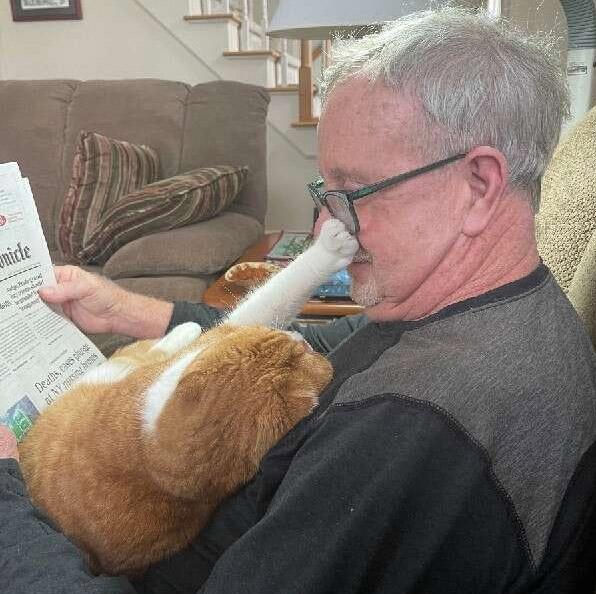 gatinho coloca pato rosto idoso enquanto lê jornal