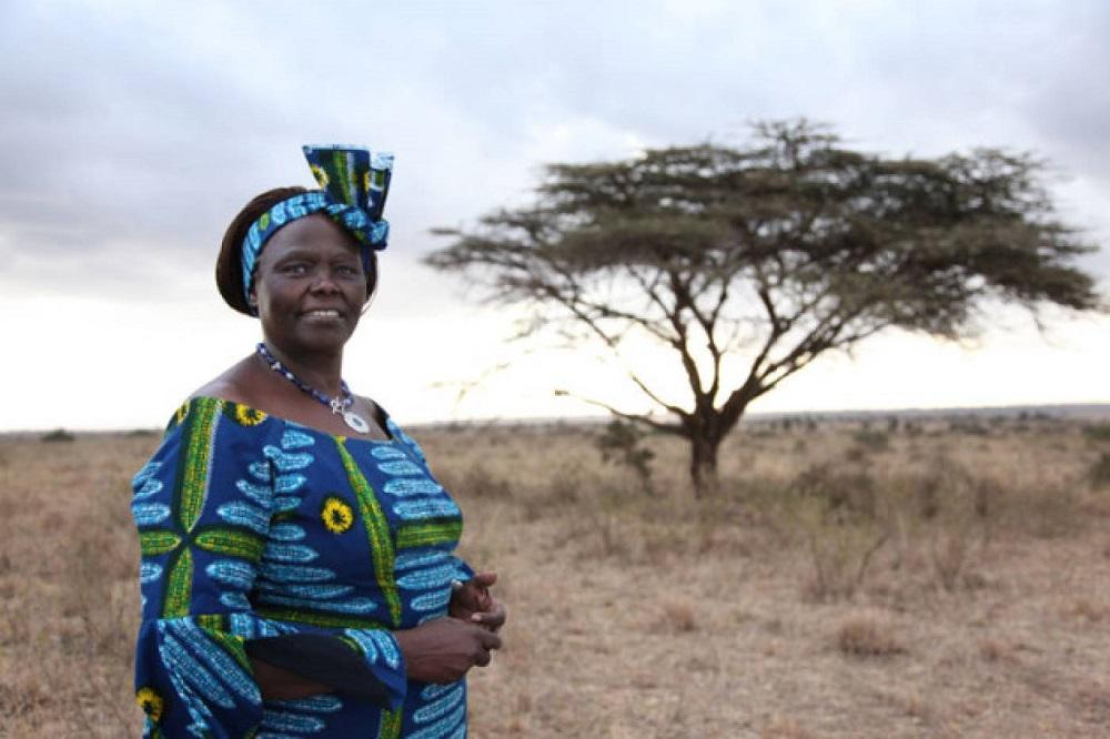 https://www.bibalex.org/SCIplanet/Attachments/Article/MediumImage/Prof-Wangari-Maathai-630x420.jpg_2016102613151524168.jpg