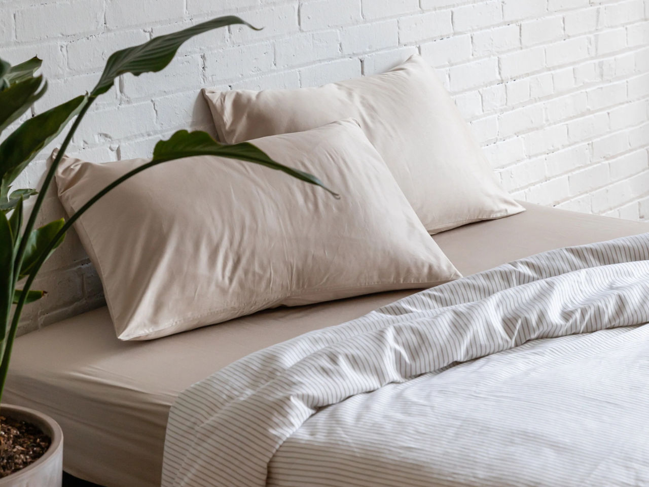 A bed made with Kotn sheets against a white exposed brick wall with a houseplant in the foreground.