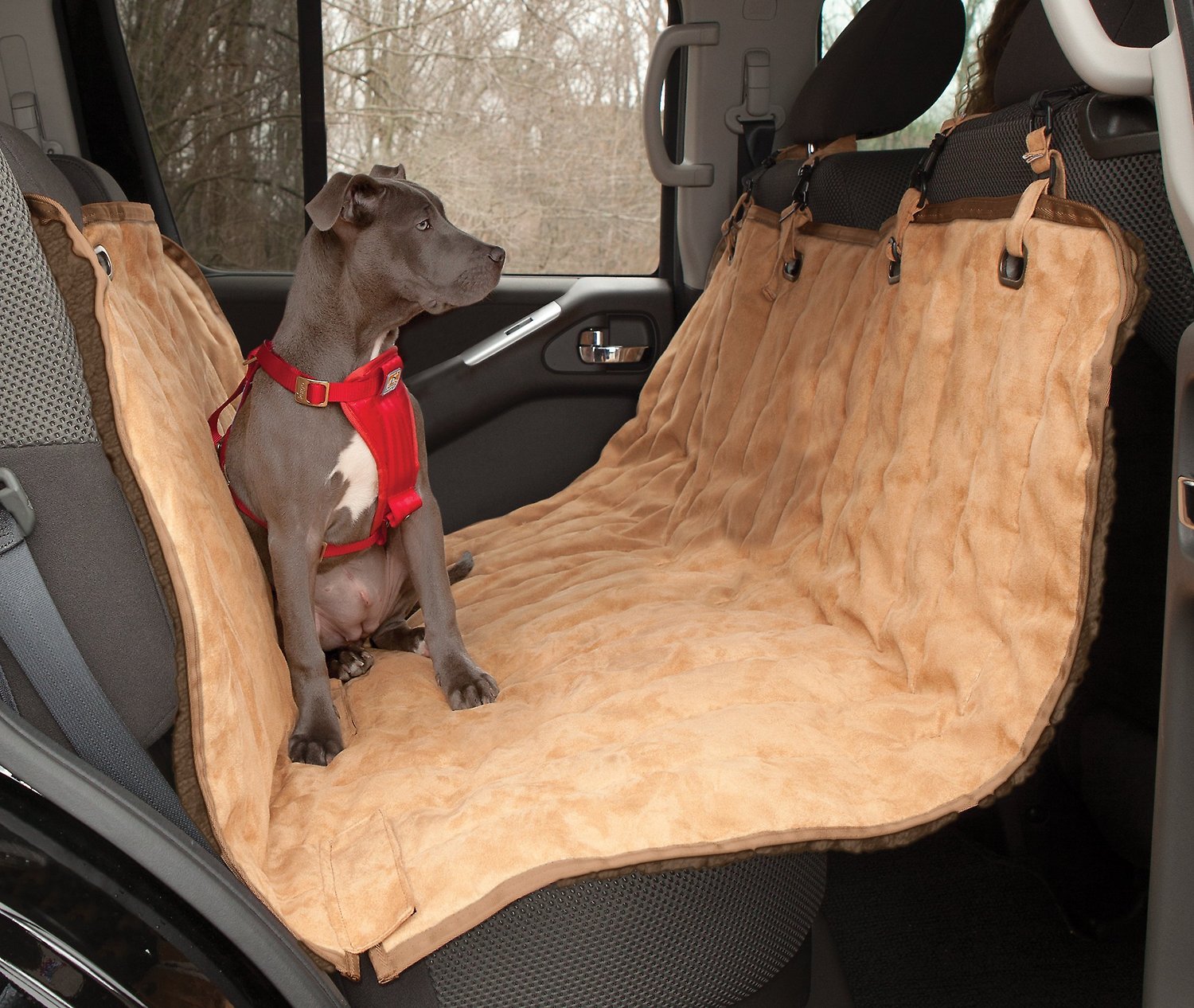 Use a passenger seat hammock to provide your dog with a comfortable spot in the back seat.