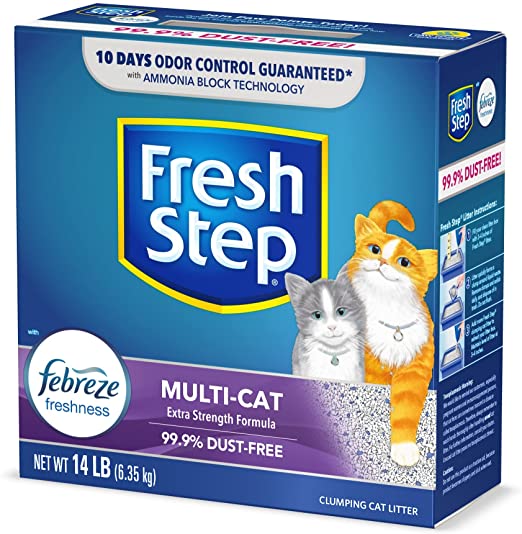 5 Best Cat Litters for Odor Control Pet Care Advisors
