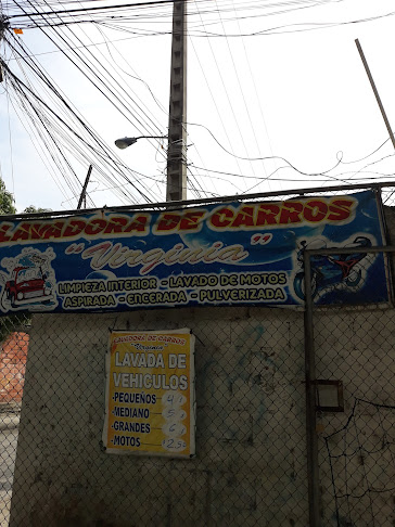 Opiniones de Lavadora de carros Virginia en Guayaquil - Servicio de lavado de coches