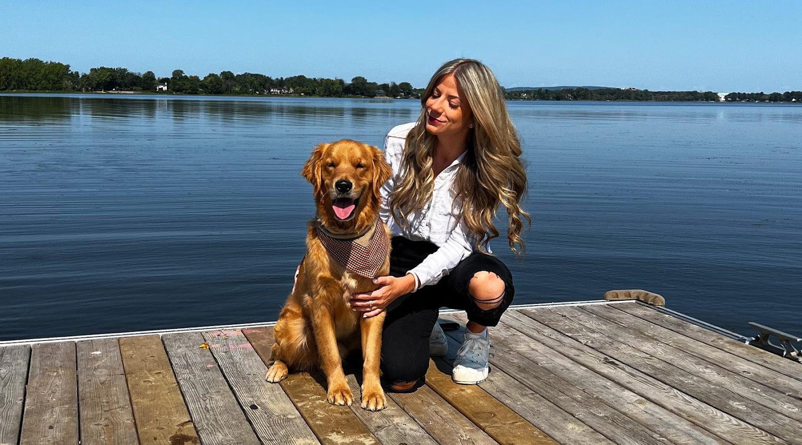 How To Build Trust With Your Dog 