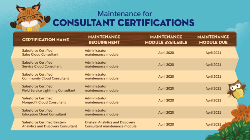 SalesForce Consultant Certification 
