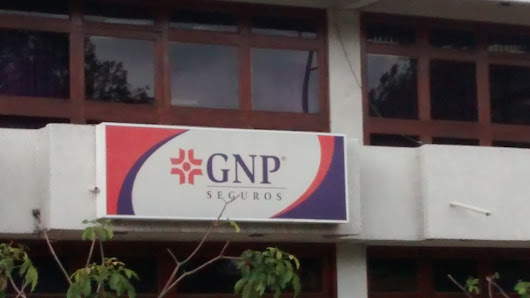 Foto 1 de GNP Seguros Supervisoría Oaxaca fuente Todas