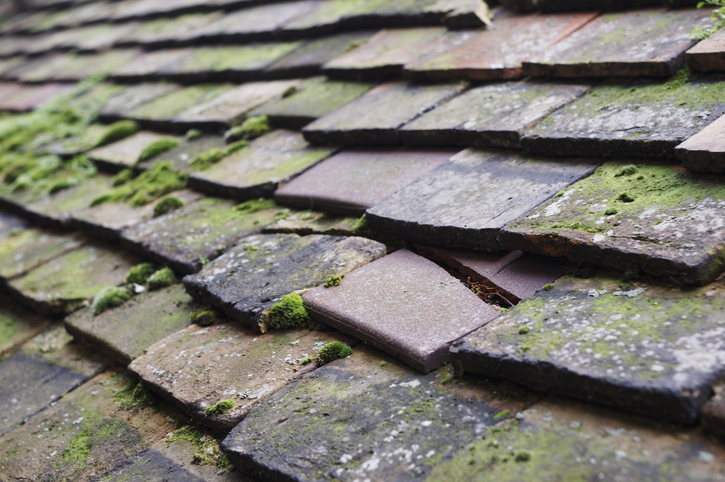 roof replacement signs: curled, damage and missing shingles