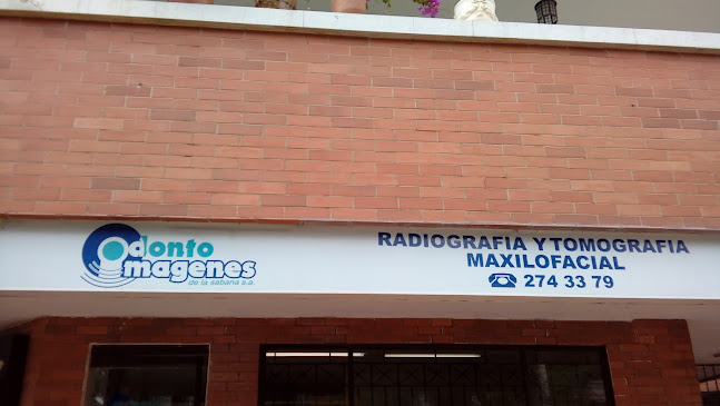 Odonto imagenes