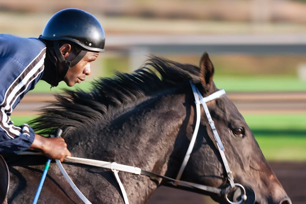 Horse Racing Courses To Visit In The UK and Ireland